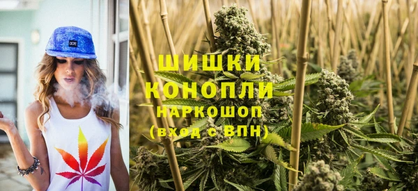 прущие грибы Слюдянка