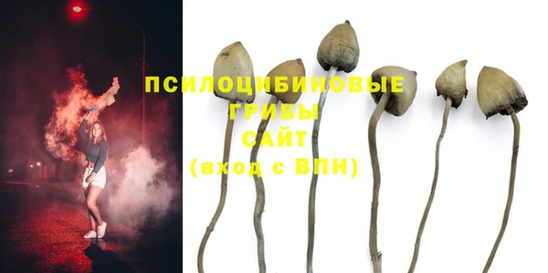 бошки Лабытнанги