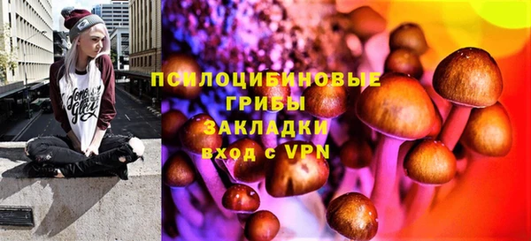 a pvp Ладушкин