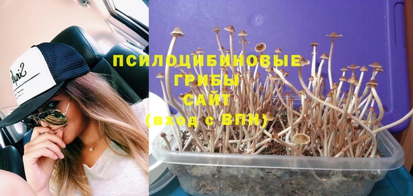 МДМА Лагань