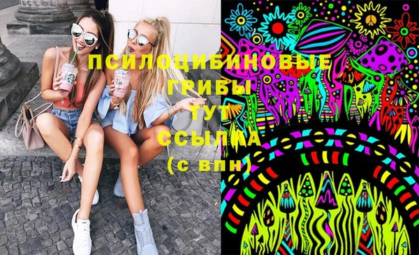 бошки Лабытнанги