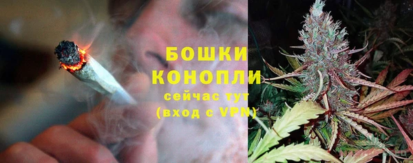 прущие грибы Слюдянка