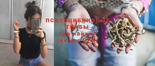 бошки Лабытнанги
