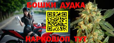 Альфа ПВП Дубна