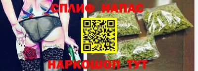 гашик Берёзовский