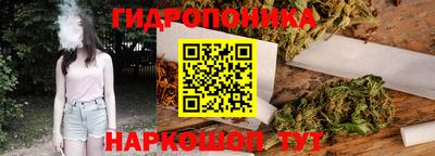 гашик Берёзовский